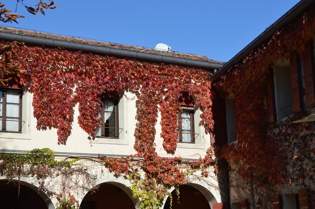 I Giardini Segreti Di Villa Marcello Marinelli Cison di Valmarino Eksteriør billede